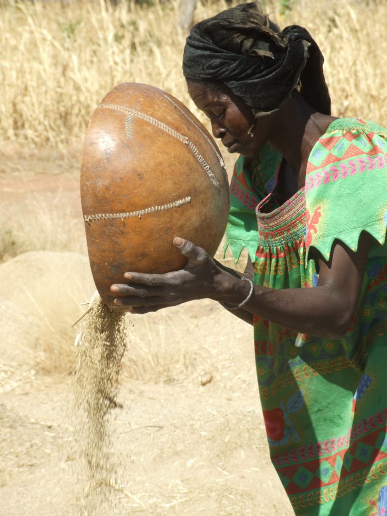 Am lioration des  conditions de  vie  des  femmes ONG 